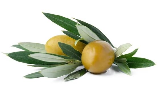 Το Diaform Plus περιέχει εκχυλίσματα ελαιολάδου